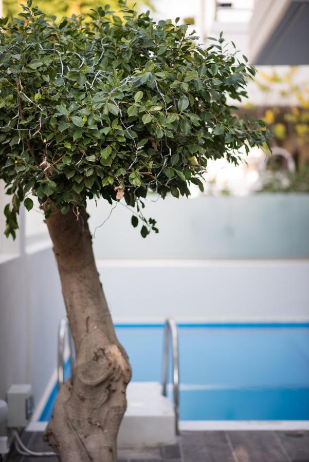 Palmyra Athens Βίλα Εξωτερικό φωτογραφία